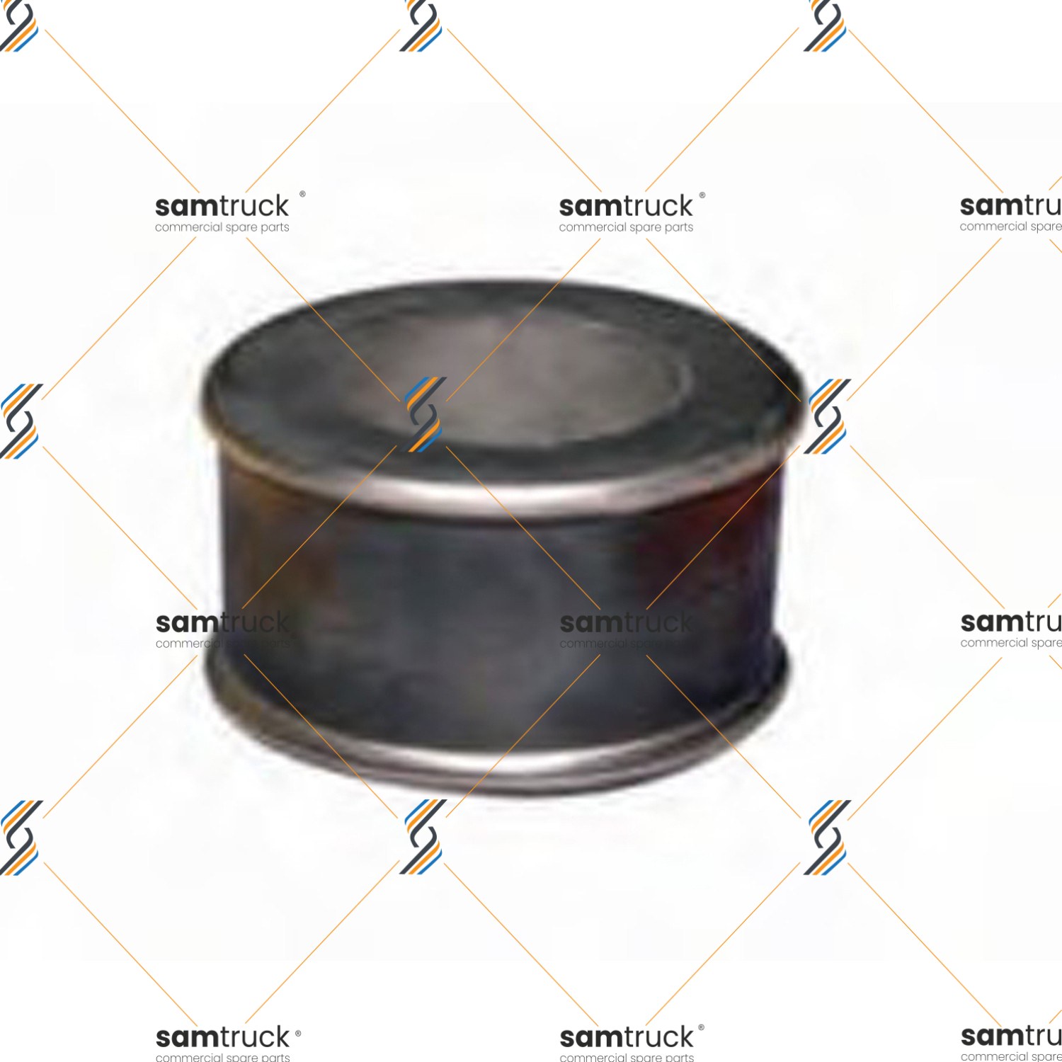 Daf Rubber Mounting — 12160006